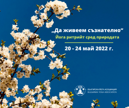 йога ритрийт