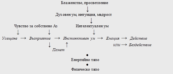 Личността и аспектите на системите на чакрите